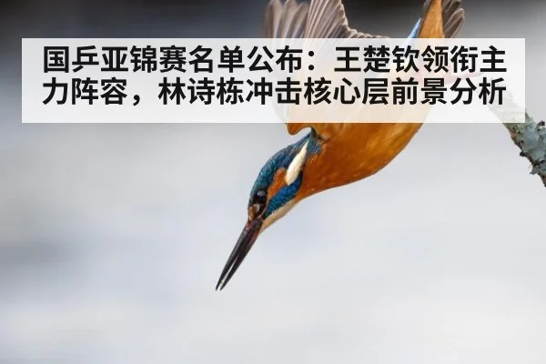 国乒亚锦赛名单公布:王楚钦领衔主力阵容,林诗栋冲击核心层前景分析