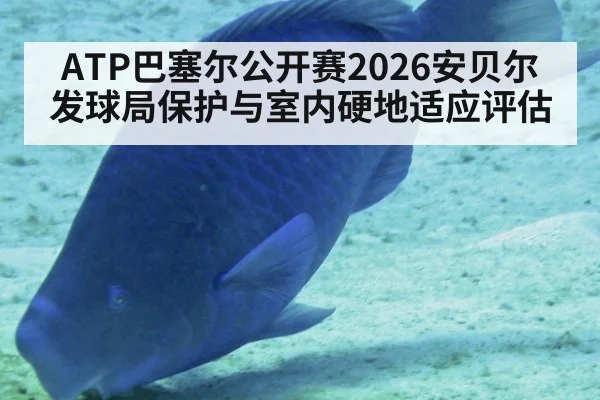 ATP巴塞尔公开赛2026安贝尔发球局保护与室内硬地适应评估