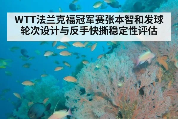 WTT法兰克福冠军赛张本智和发球轮次设计与反手快撕稳定性评估